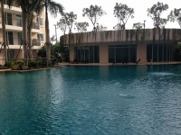 Paradise Park Condo