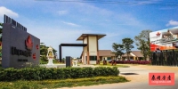 The Maple Pattaya