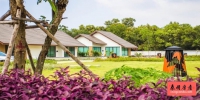 The Maple Pattaya