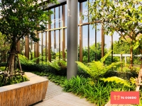 Oka Haus Sukhumvit 36 Condo For Sale