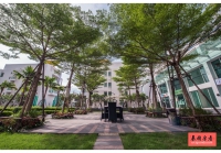 TC Green Condo