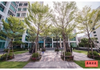 TC Green Condo