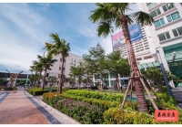 TC Green Condo