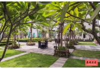 TC Green Condo
