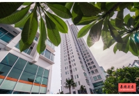 TC Green Condo