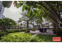 TC Green Condo
