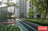 Centric Sea Pattaya 1 Bed For Sale