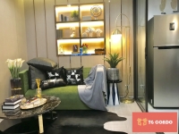 Life Asoke Hype Condo